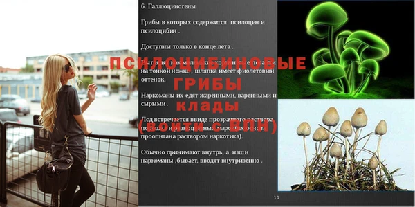 соль ск Абинск