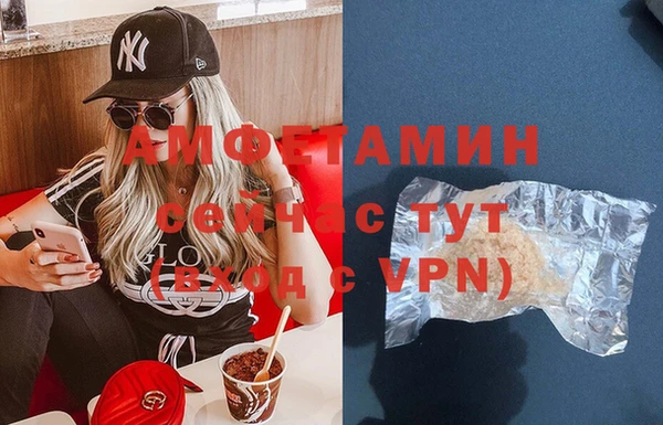 прущий лед Бикин